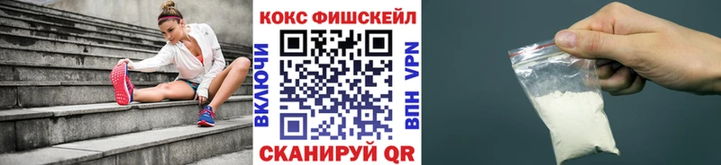 COCAIN Fish Scale  Купить где  Старая Русса 