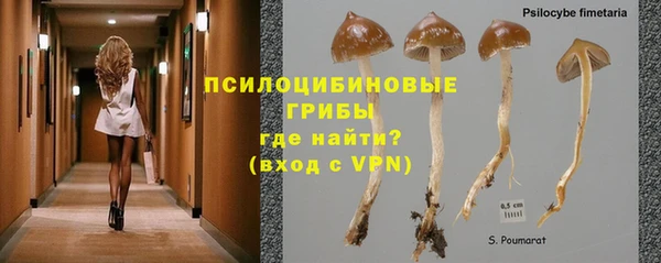 ALPHA-PVP Ростов