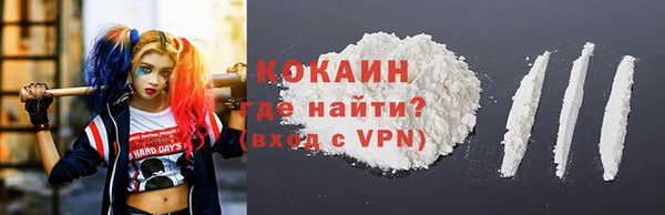 дурь Рославль
