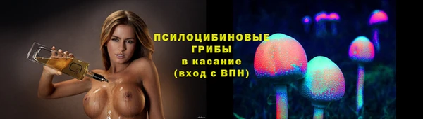дурь Рославль