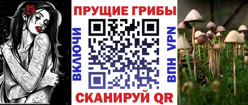 Галлюциногенные грибы Cubensis  Купить закладки  Старая Русса 